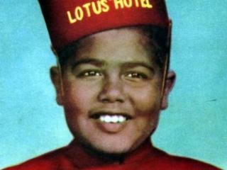 Lotus Cairo